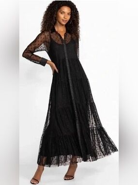 NEW NWT WOMENS LARGE (bust 42”) JOHNNY WAS MAXI DRESS POLKA DOT SHEER SILK